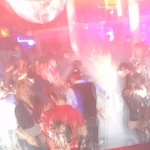 DSC01231.jpg