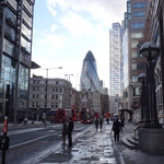 DSC09658.jpg