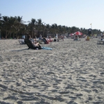 img 088.jpg