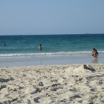 img 090.jpg