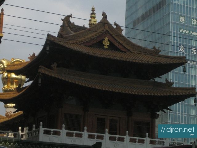 img 623.jpg