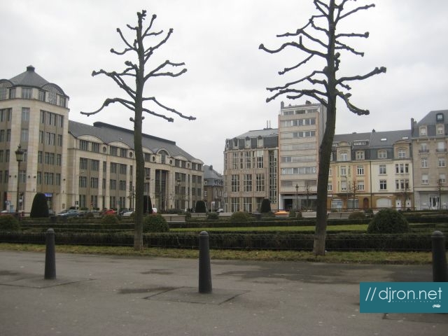 IMG_5666.jpg