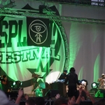 DSC 222.jpg