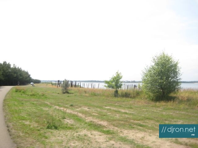 img 009.jpg