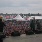 img 137.jpg