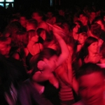 img 036.jpg