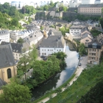 IMG_7981.jpg