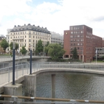 IMG_9561.jpg