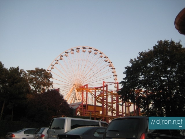 IMG_1557.jpg