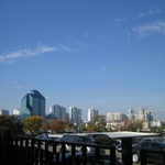 img 436.jpg