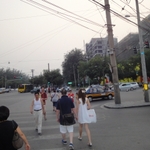 DSC04780.jpg