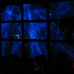img 041.jpg