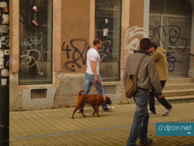 DSC07851.jpg